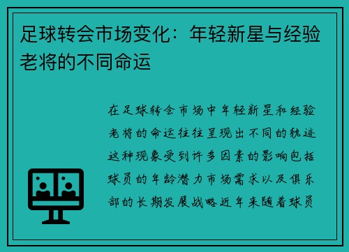 足球转会市场变化：年轻新星与经验老将的不同命运